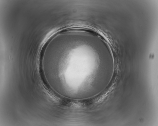 X0000096380199200801241245