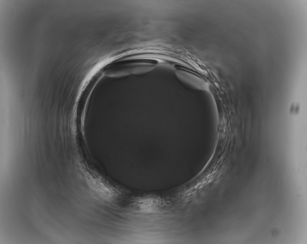 X0000096380200200801241245