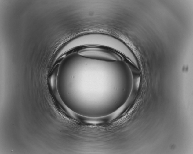 X0000096380201200801241245