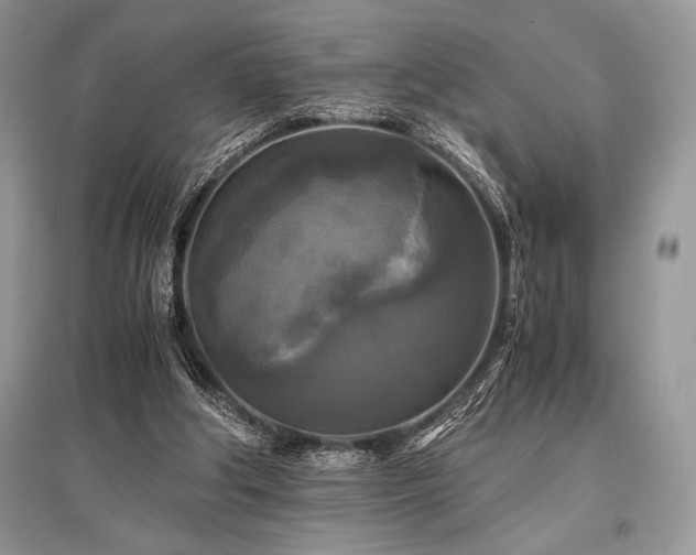X0000096380202200801241245