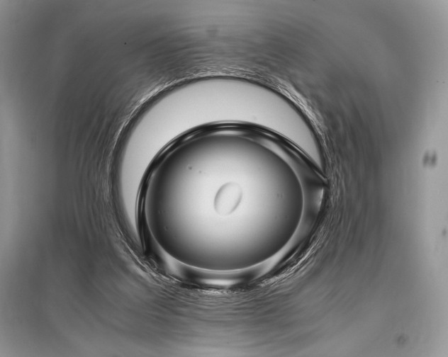 X0000096380203200801241245