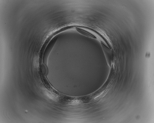 X0000096380204200801241245