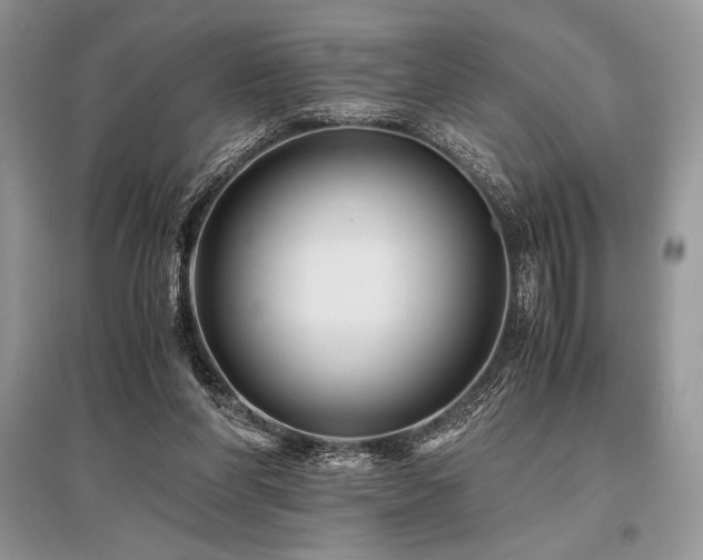 X0000096380206200801241245