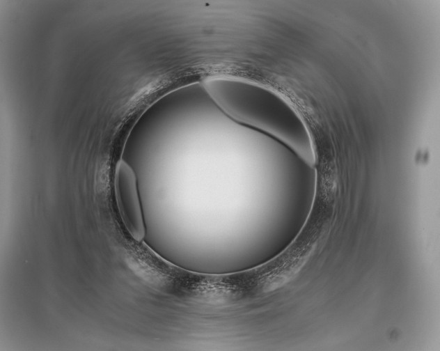 X0000096380207200801241245