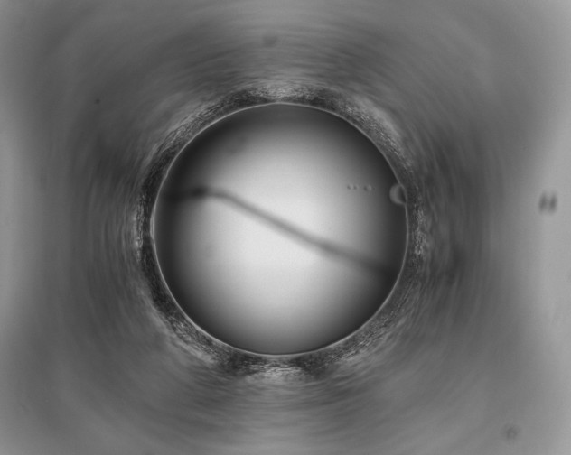 X0000096380210200801241245