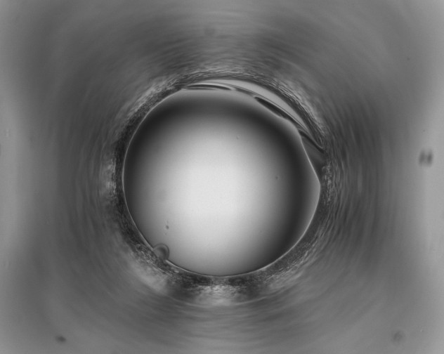X0000096380212200801241245