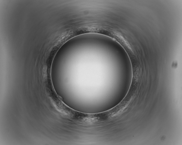 X0000096380213200801241245