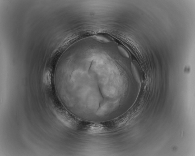 X0000096380214200801241245
