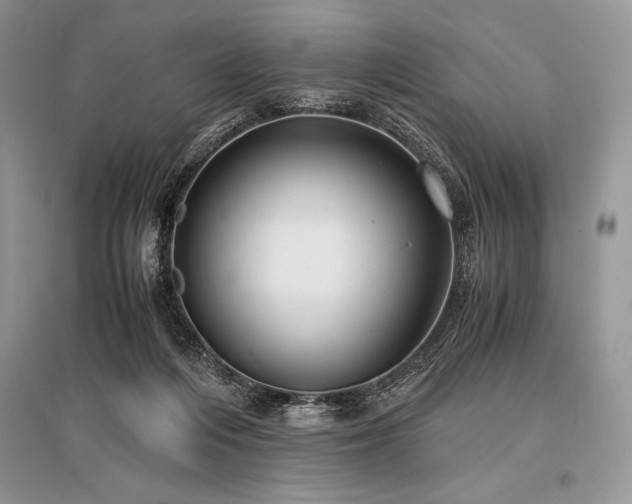 X0000096380216200801241244