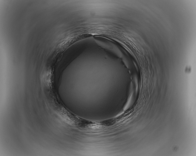 X0000096380219200801241244