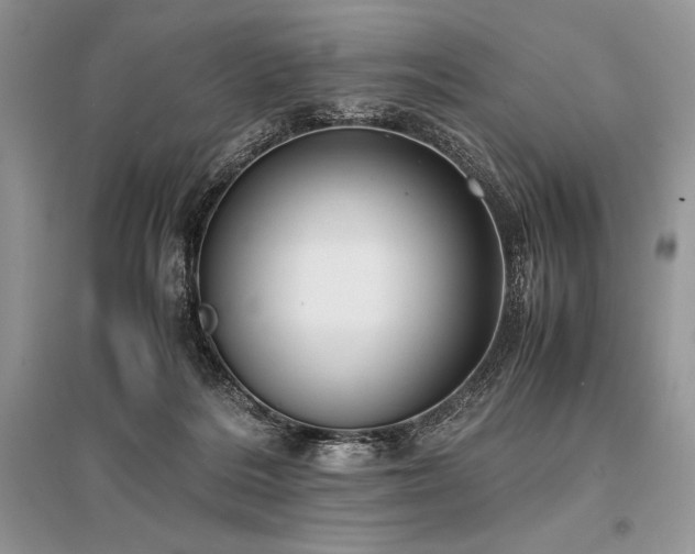 X0000096380220200801241244