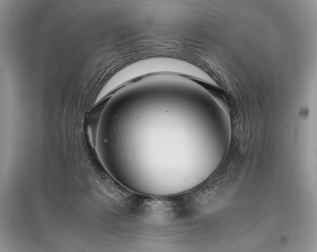 X0000096380221200801241244