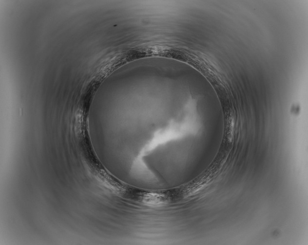 X0000096380222200801241244