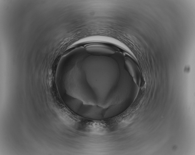 X0000096380223200801241244