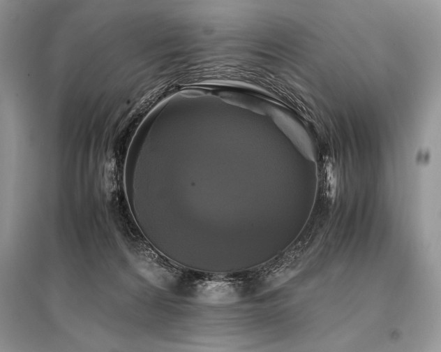 X0000096380224200801241244