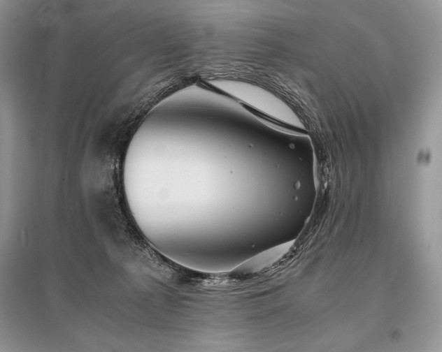 X0000096380225200801241244