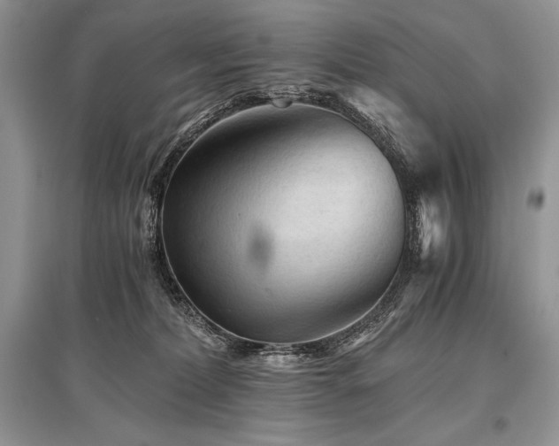 X0000096380228200801241244