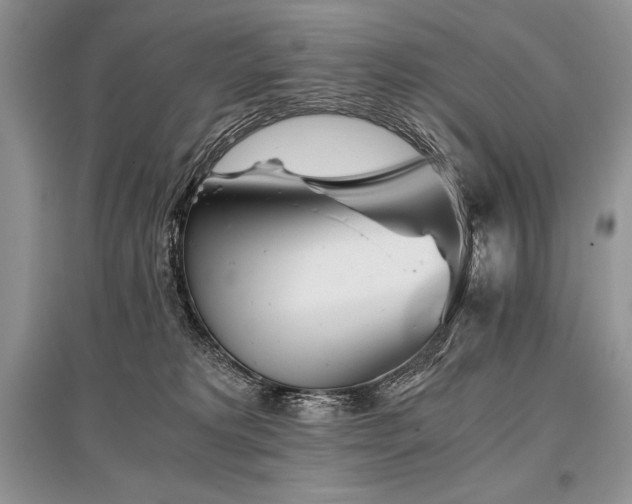 X0000096380229200801241244