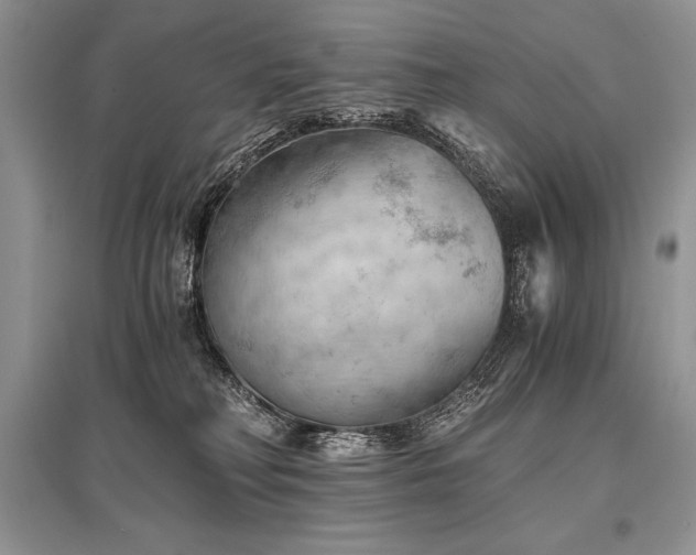 X0000096380230200801241244