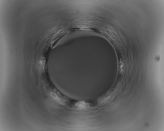 X0000096380231200801241244