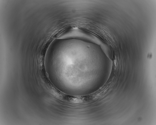 X0000096380232200801241244