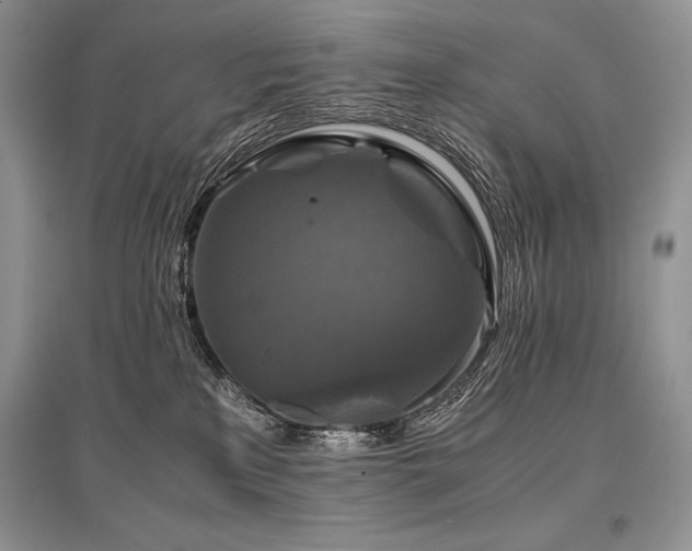 X0000096380233200801241244