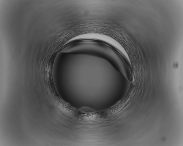 X0000096380235200801241244