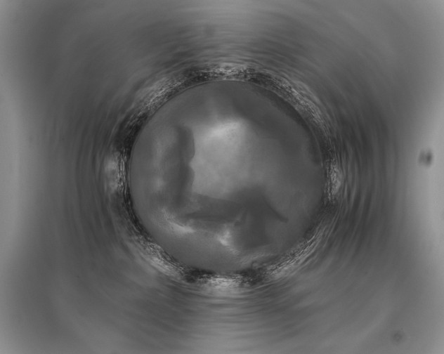 X0000096380236200801241244