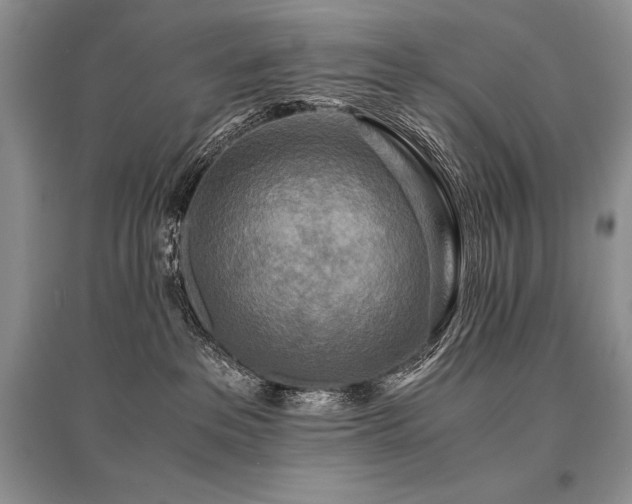 X0000096380237200801241244