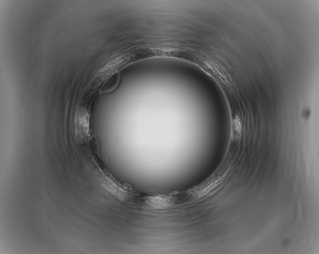 X0000096380238200801241244