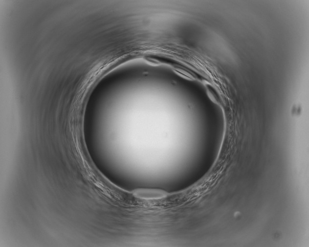 X0000096380241200801241243