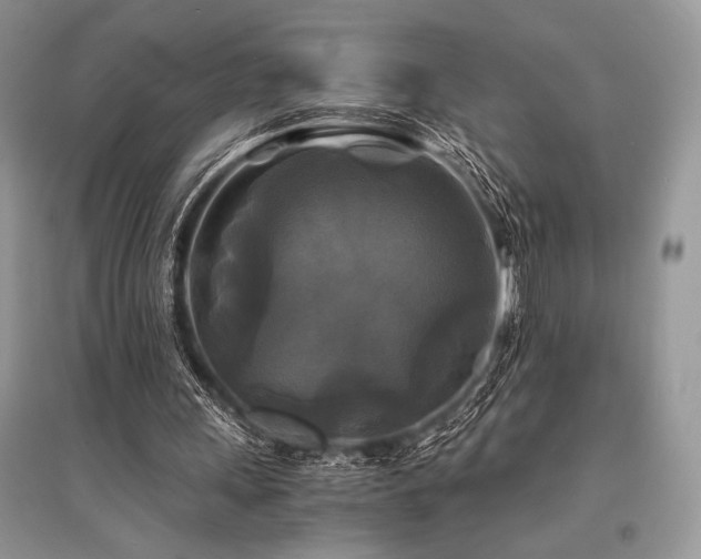 X0000096380243200801241243