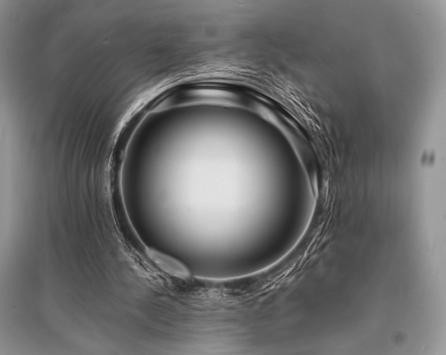 X0000096380244200801241243