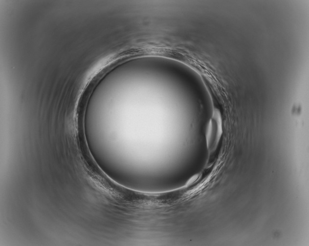 X0000096380246200801241243