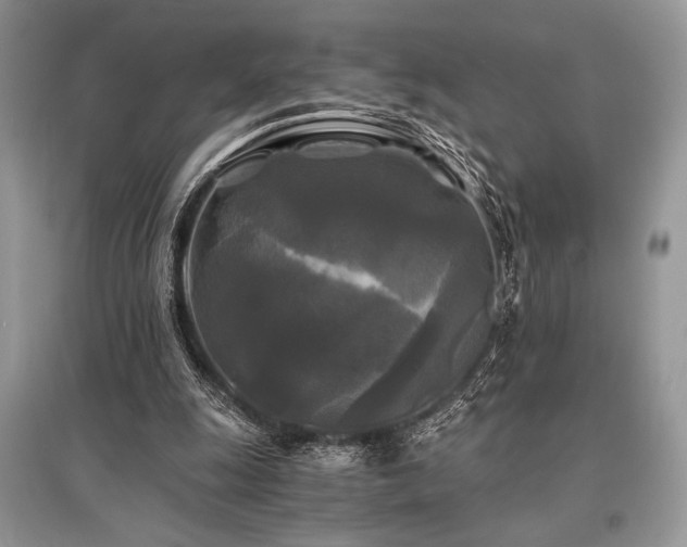 X0000096380247200801241243
