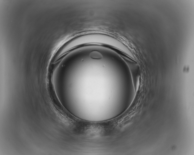 X0000096380248200801241243