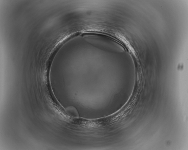 X0000096380249200801241243