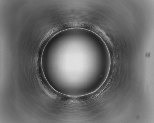 X0000096380250200801241243