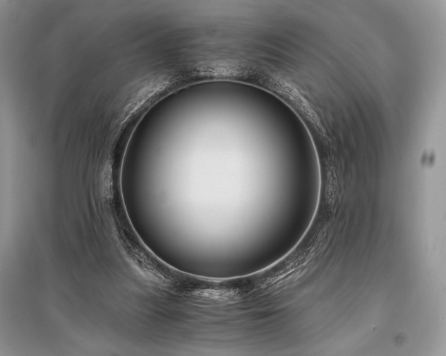 X0000096380251200801241243