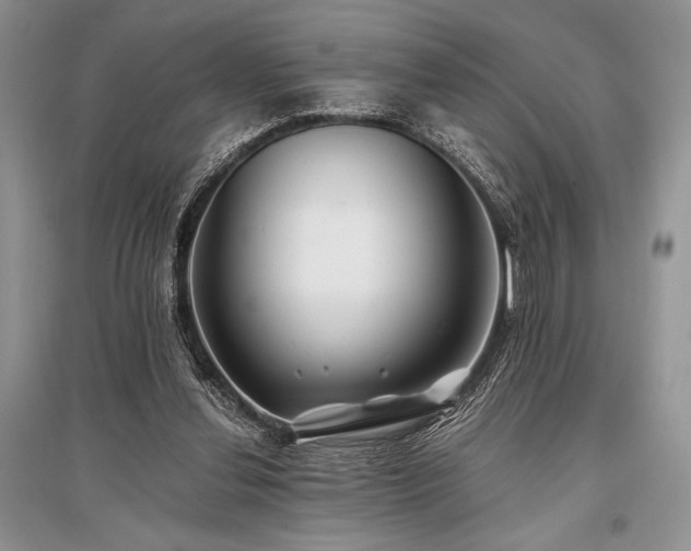 X0000096380252200801241244