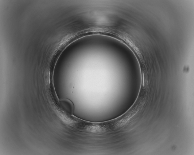 X0000096380253200801241244