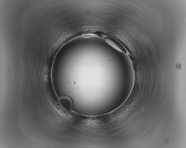 X0000096380255200801241244