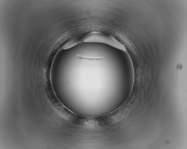 X0000096380258200801241244