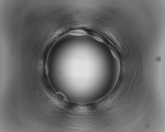 X0000096380260200801241244