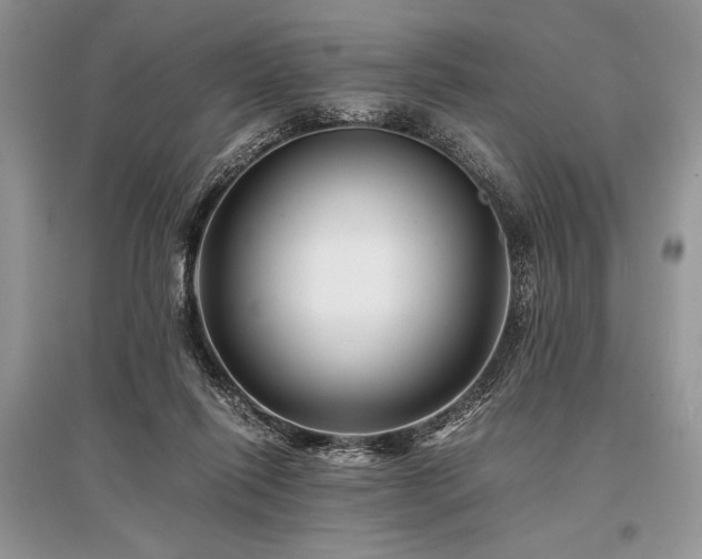 X0000096380262200801241244