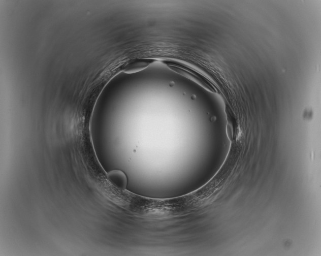 X0000096380263200801241244