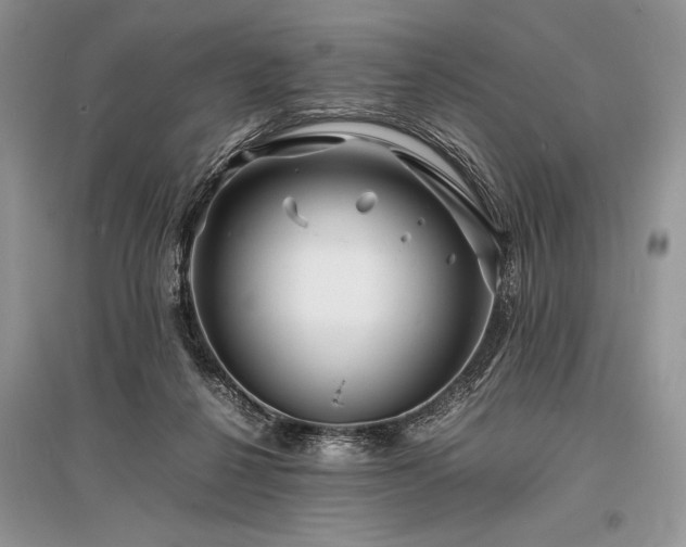 X0000096380264200801241244
