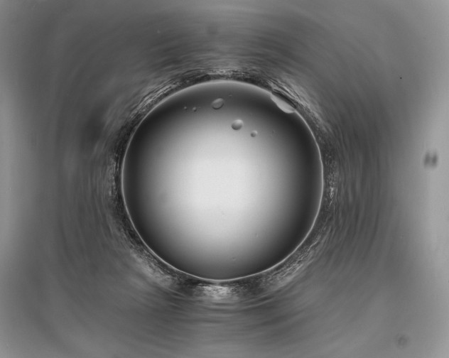 X0000096380265200801241244