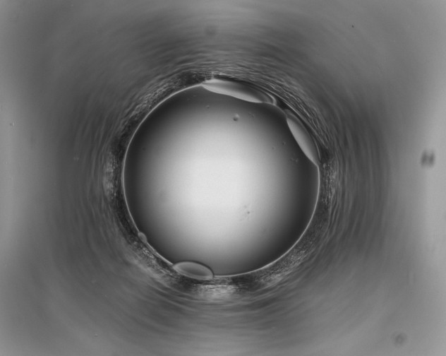 X0000096380266200801241244