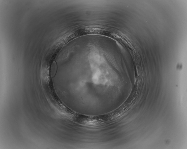 X0000096380267200801241244